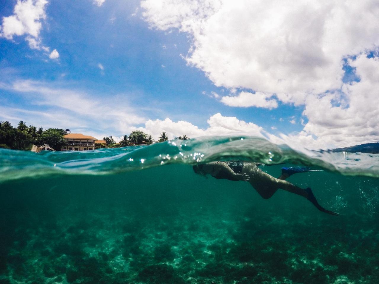 מואלבואל Turtle Bay Dive Resort מראה חיצוני תמונה