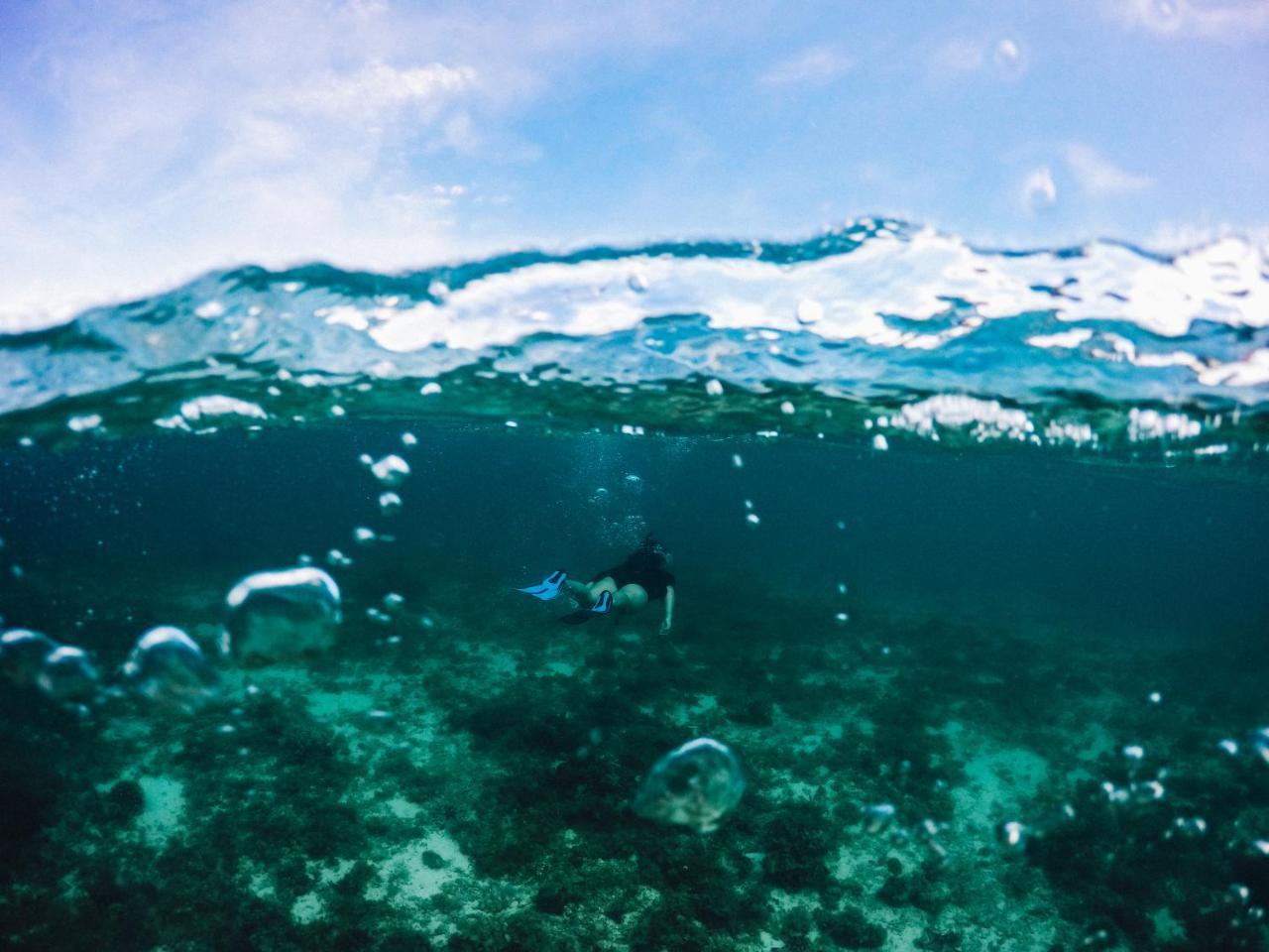 מואלבואל Turtle Bay Dive Resort מראה חיצוני תמונה